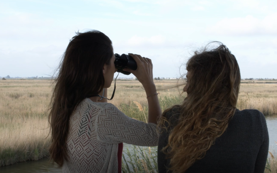 Curtmetratge aplicant l’estil visual naturalista d’Emmanuel Lubezki